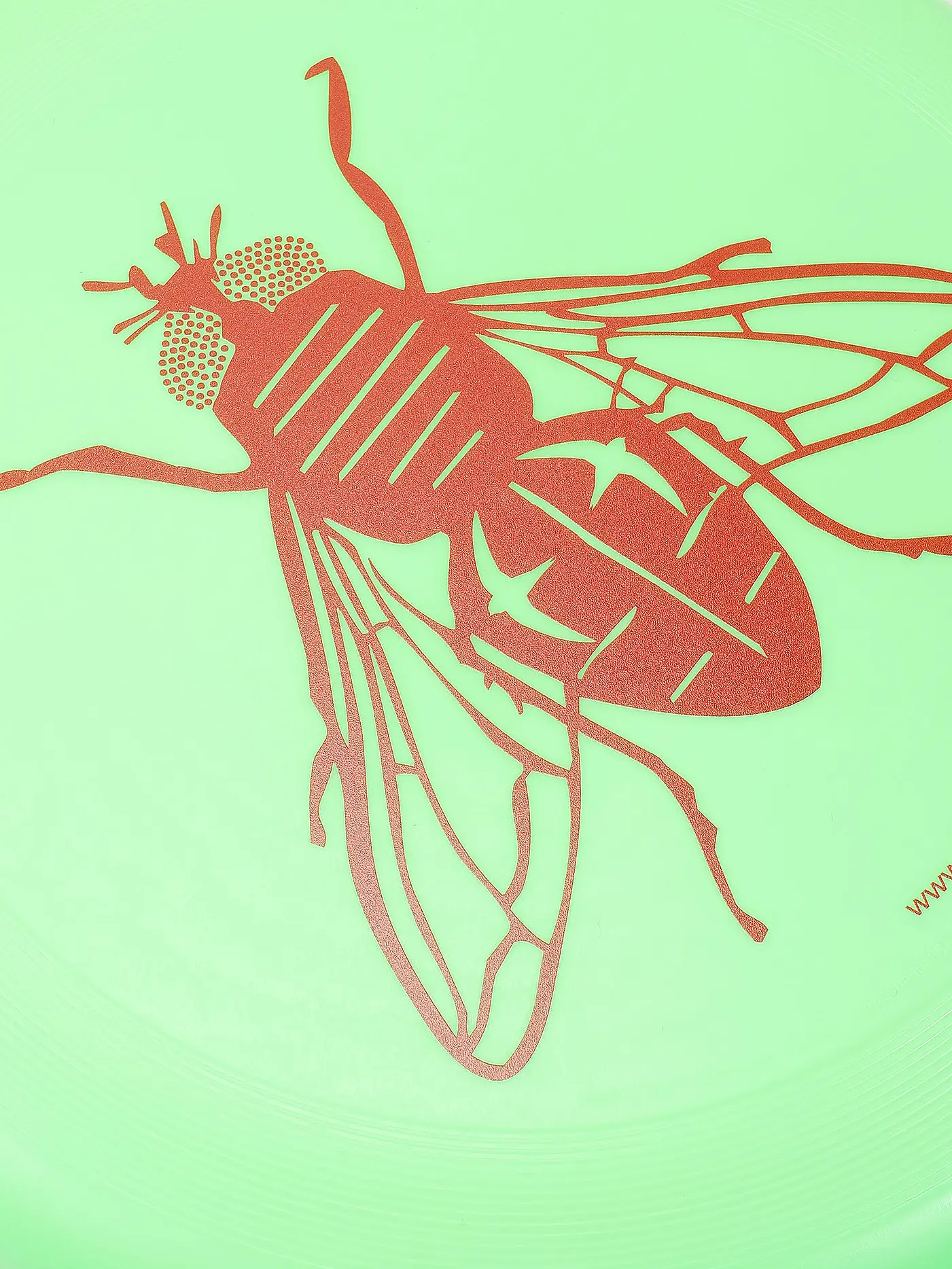 FLY IN DANGER | Frisbee Sport Disc Fly | 
